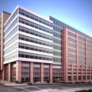 Business Property Insurance